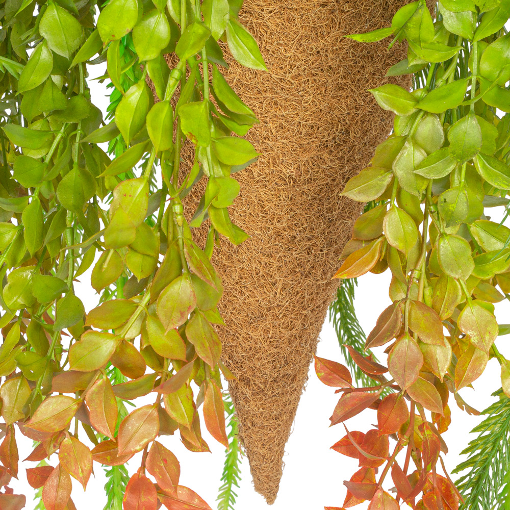 КОН02 Папоротник с зеленью в кокос. конусе(d-65. h_23