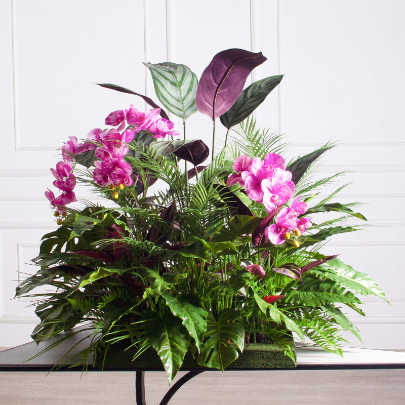 К515/1-1(з)(Пр)(F) Композиция искусственная с калатеей и пальмой на основании_1