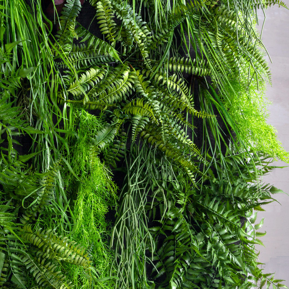 ФТС171(F) Фитостена, за 1кв.м_3