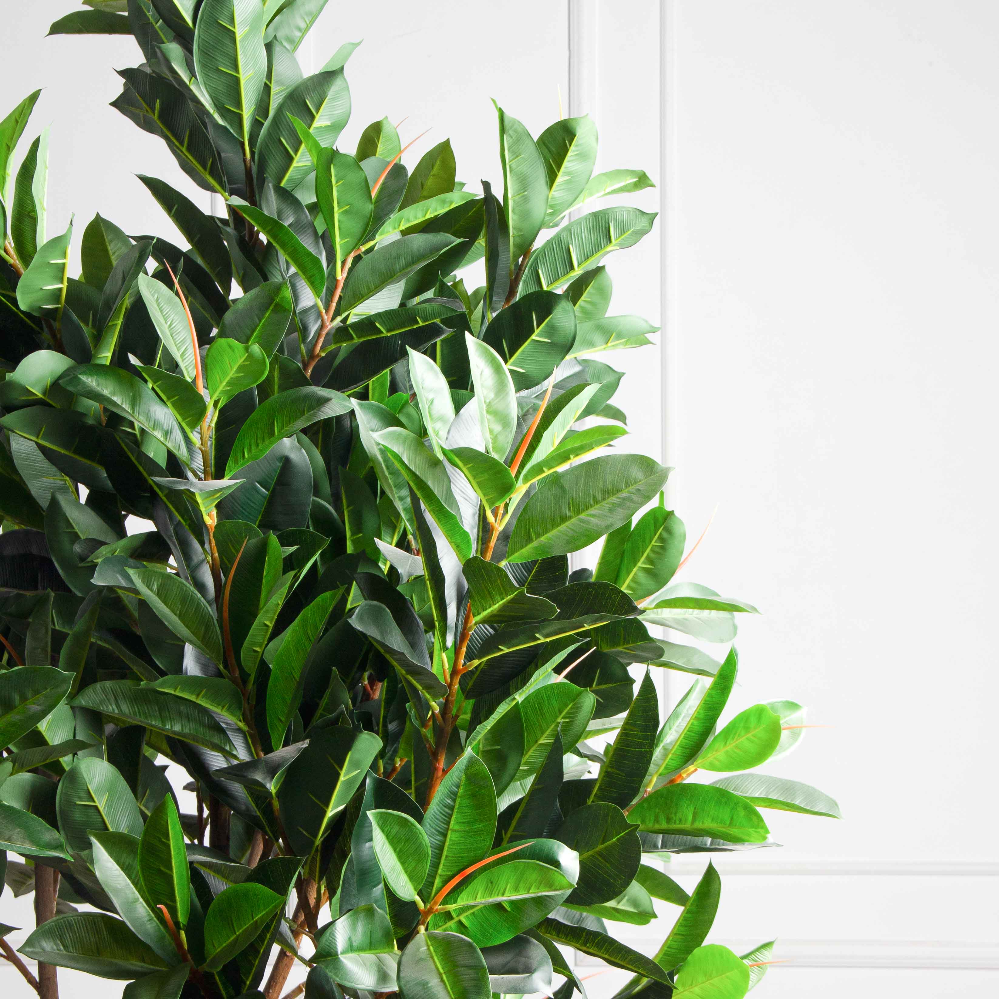 240/К/418(з)(Пр)(F) Фикус искусственный Эластика  h240см, латекс_4