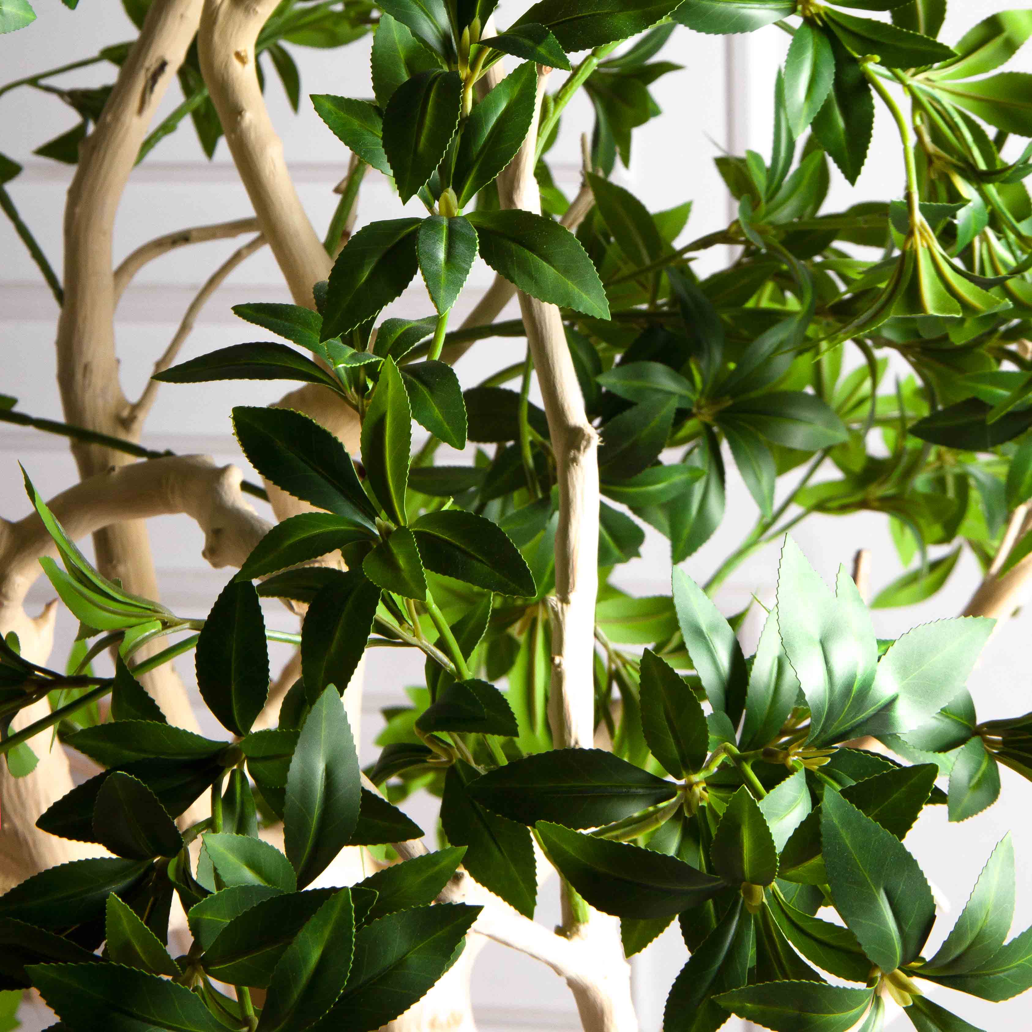 200/ДА/526(з)(F) Бересклет искусственный h200 d160см в кашпо d33 h24,5см, латекс_4