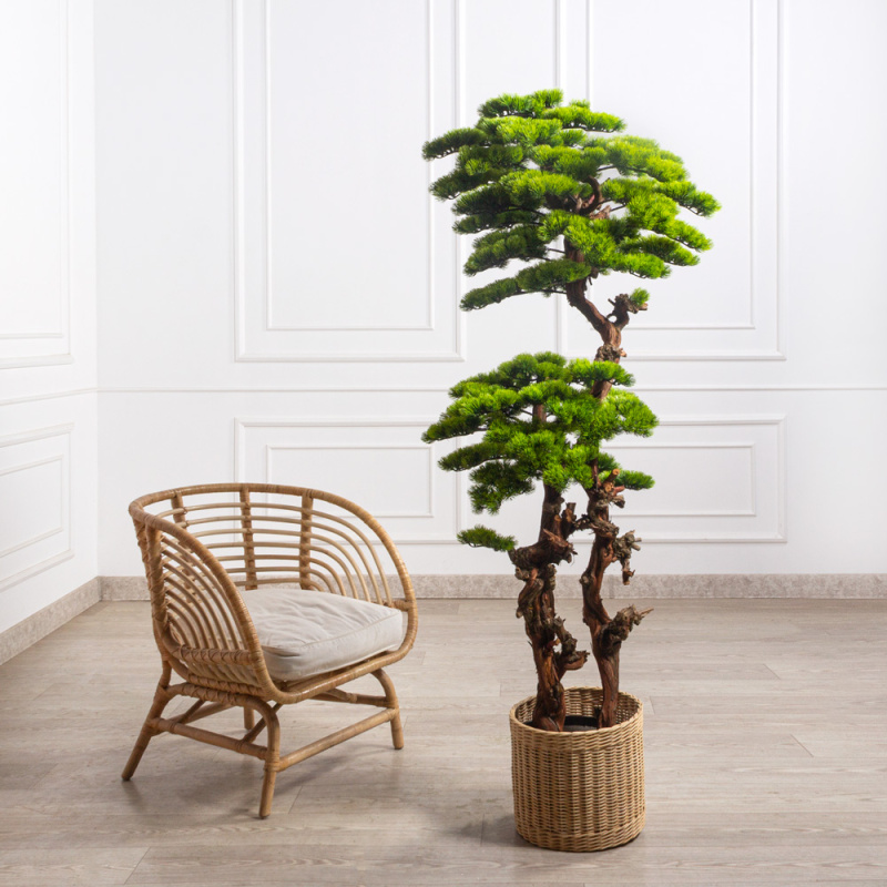 БС175/ОС/30-1(з)(УУ)(Пр)(F) Бонсай искусственный Сосна h175см_1