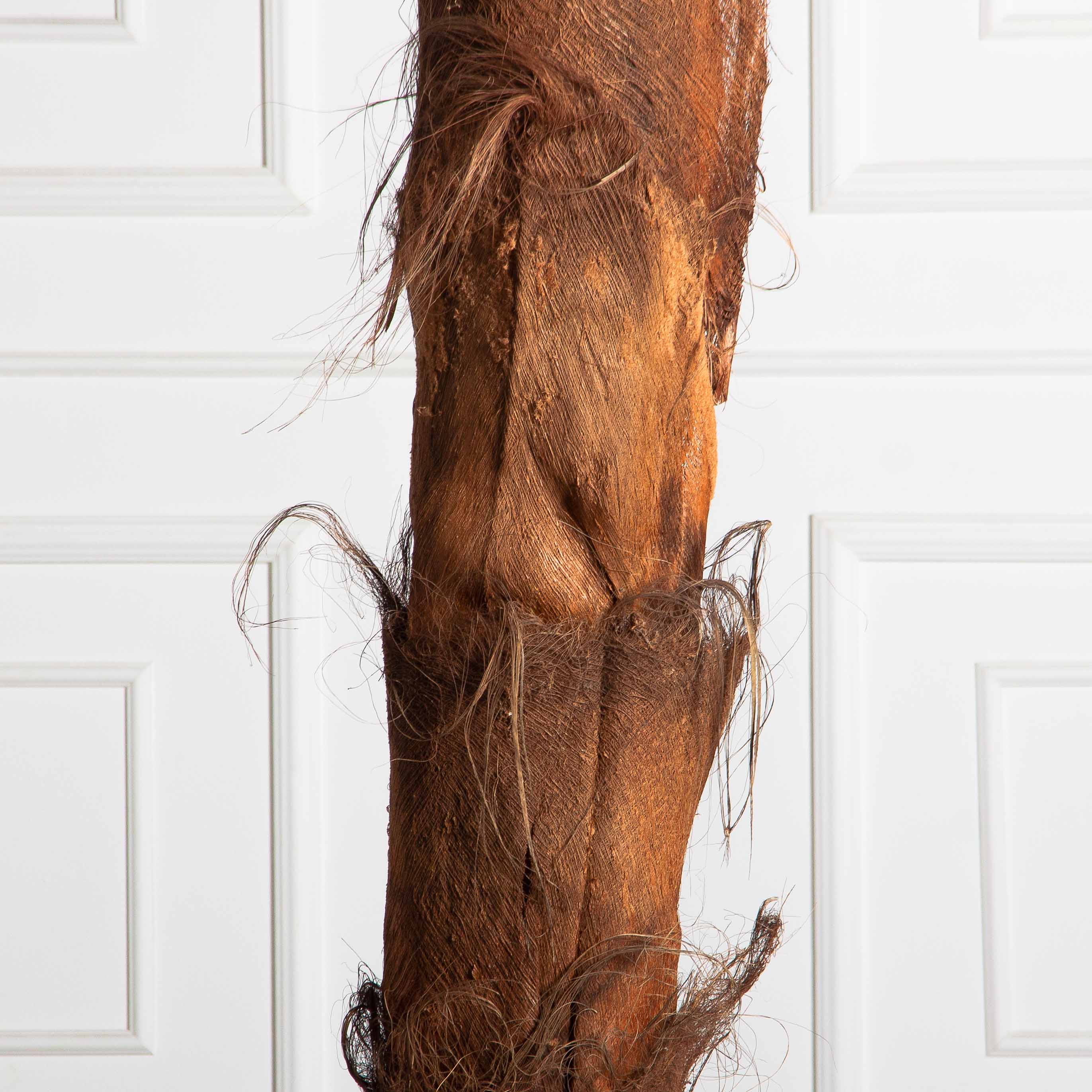 ПС260/ТР/49СТ(Пр)(F) Пальма Арека искусственная h260см на мет.основании_7