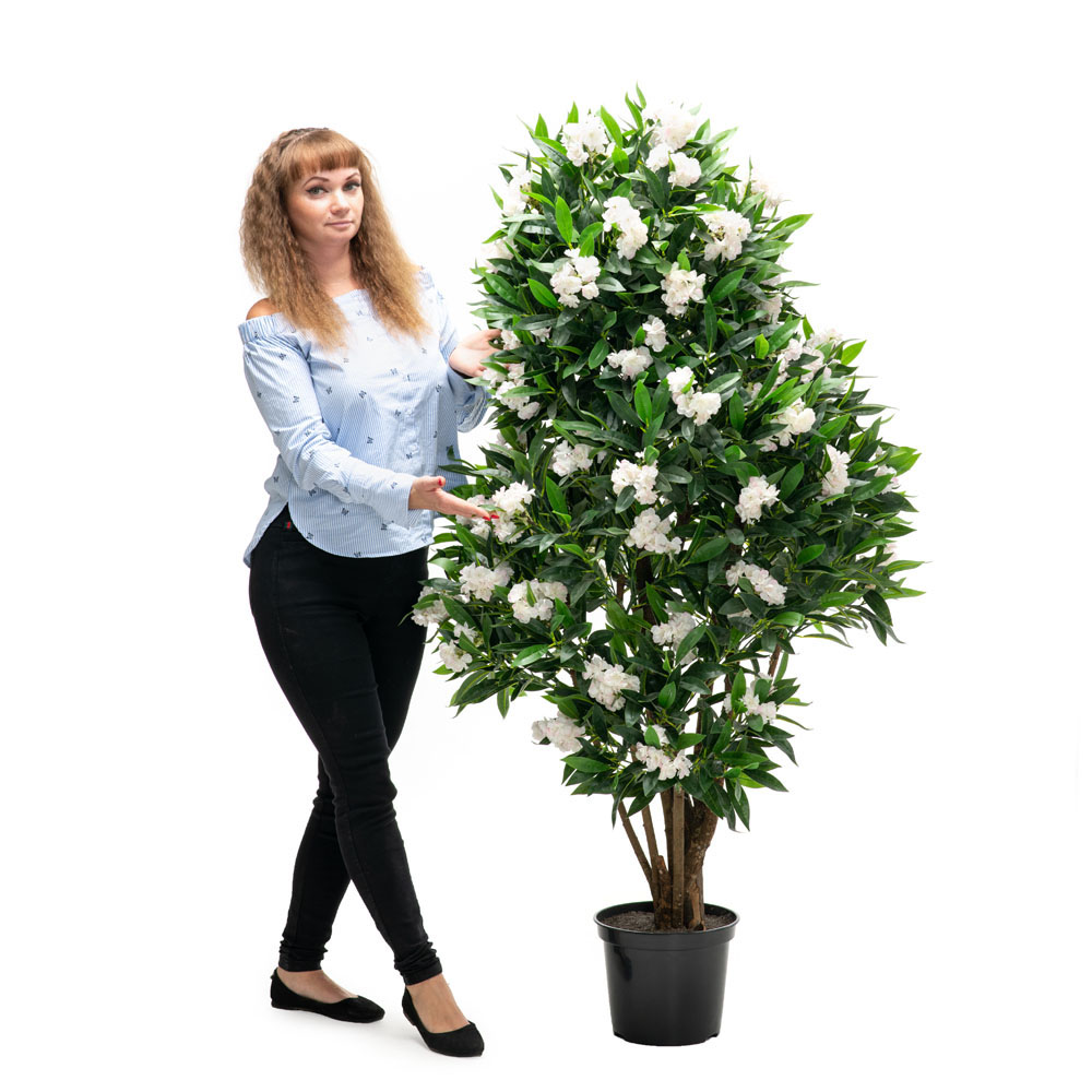 160/РН/РУ/191-1 Дерево цветущее 