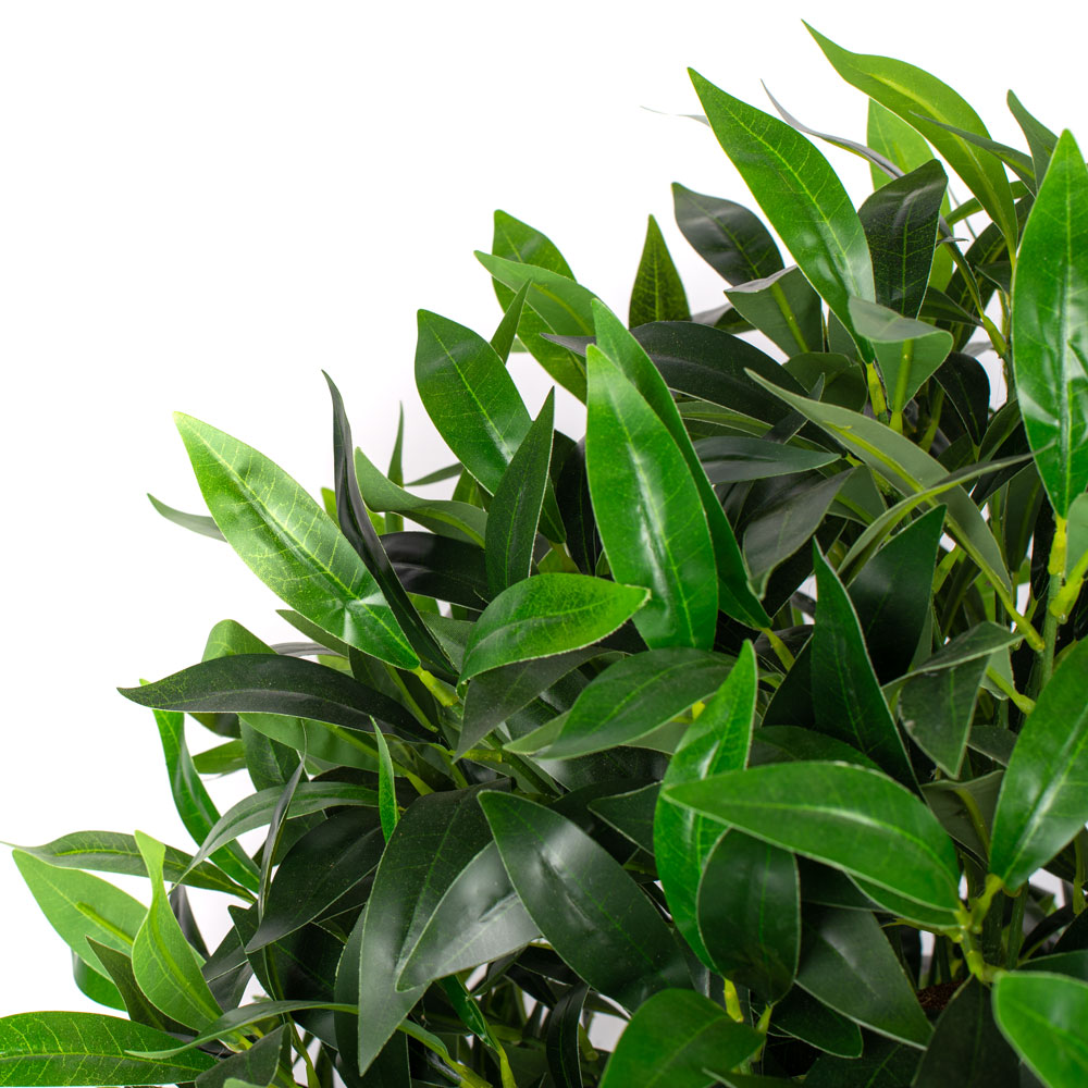 100/Ш/188-1 Лавр куст, h100см(латекс)_2