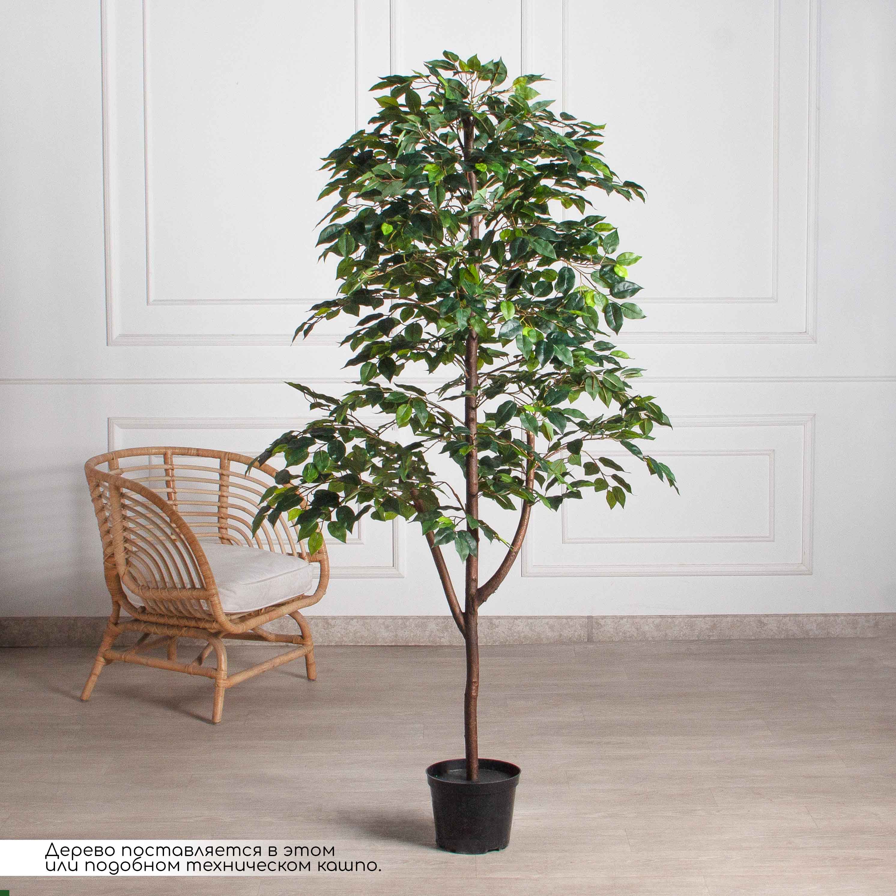 180/РУ/34(Пр)(F) Фикус искусственный разноуровневый h180см, латекс_2