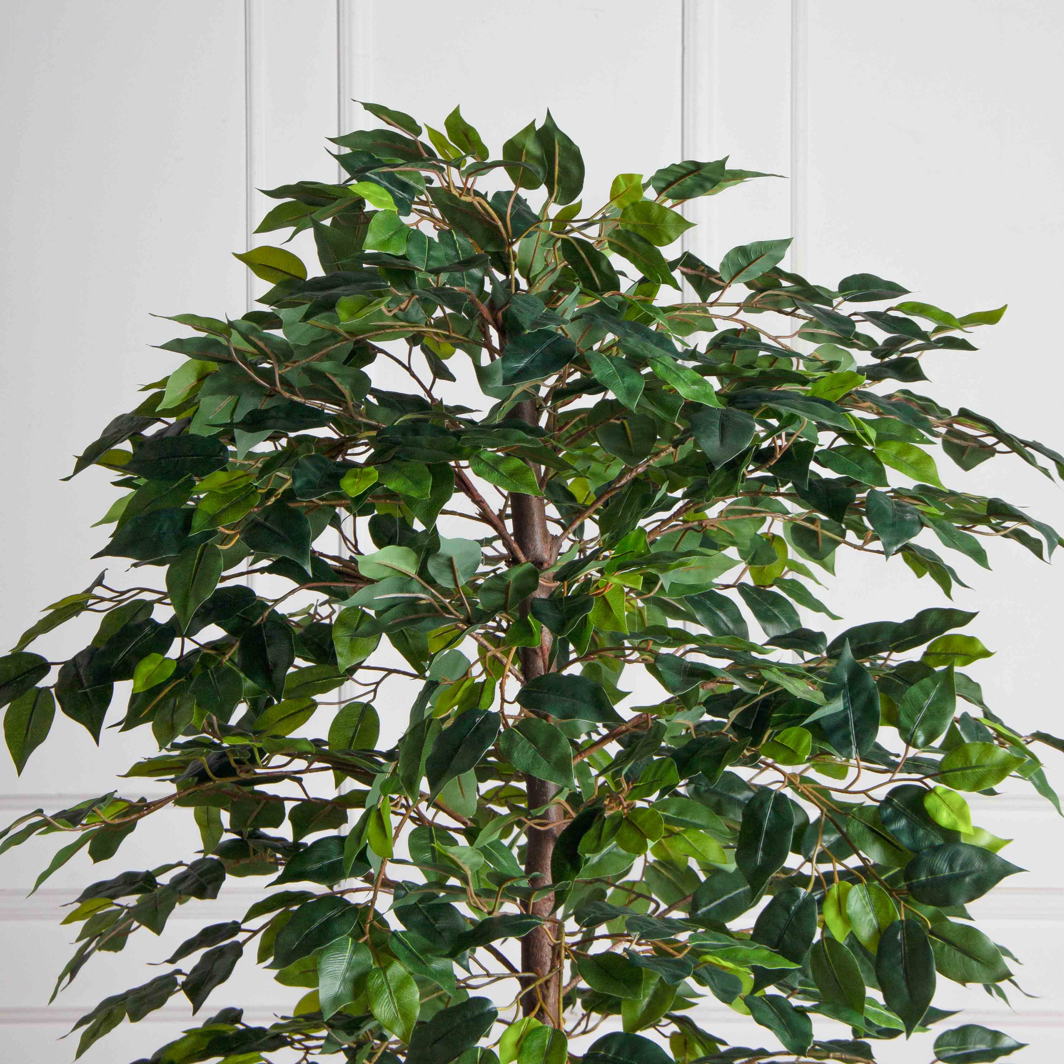 180/РУ/34(Пр)(F) Фикус искусственный разноуровневый h180см, латекс_3