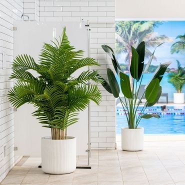 Термы&amp;Фитнес | Мытищи