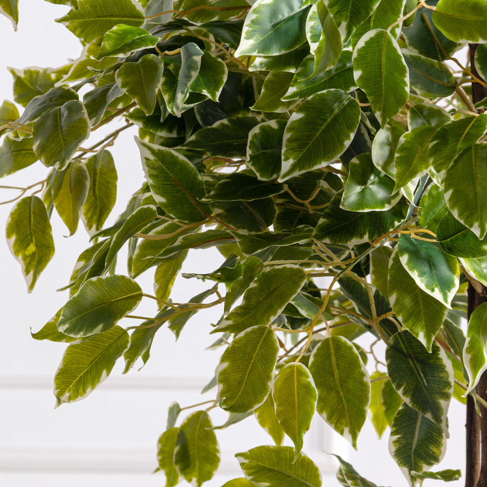 180/2К/РН/23(Пр)(F) Фикус Бенджамина искусственный h180см_3