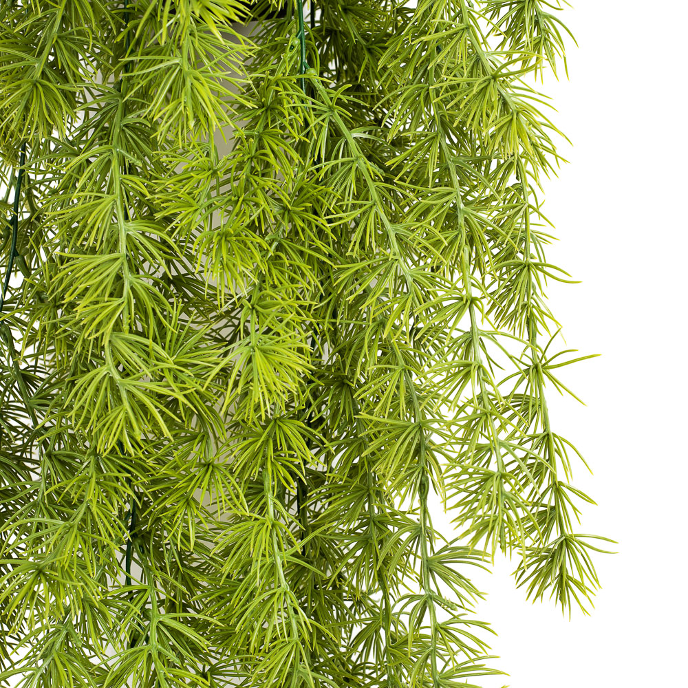 КС71 Лиственница ампельная в кашпо_2