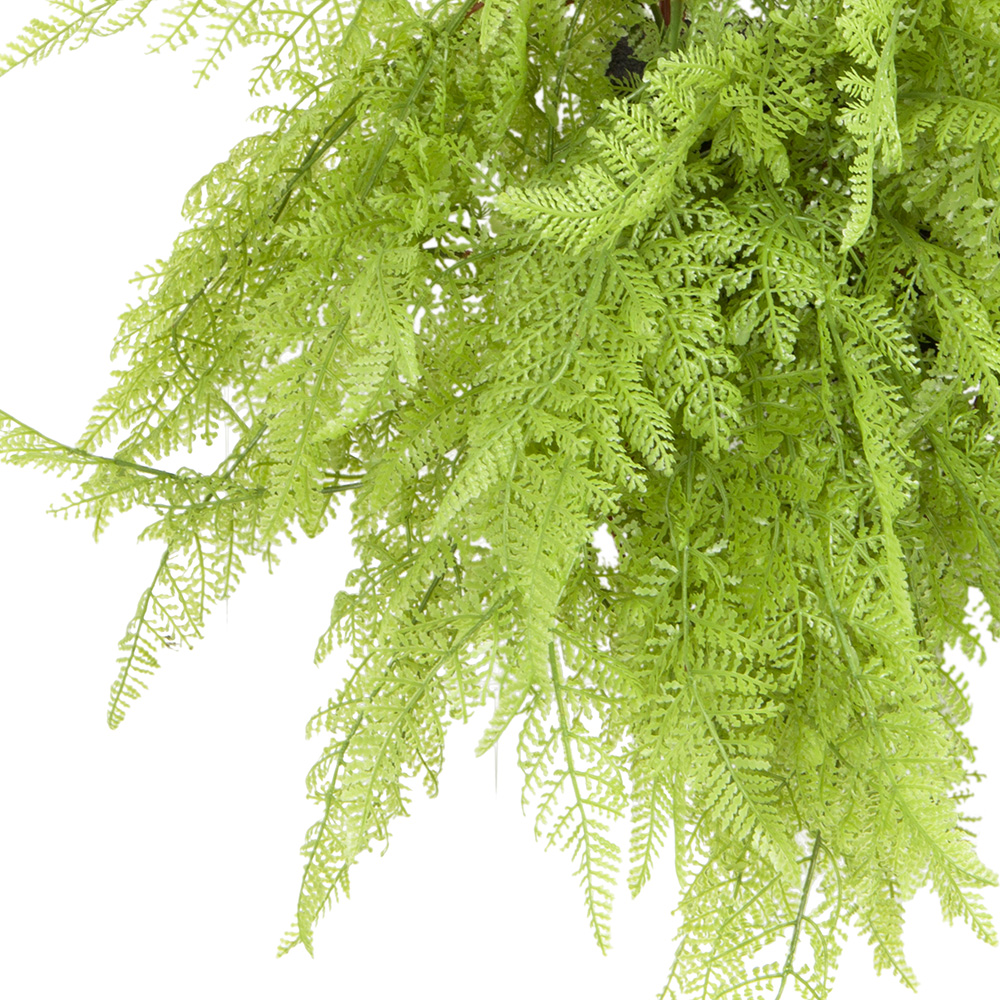 БК 11-1 Композиция с папоротником Давалия на блоке 15*h10_3