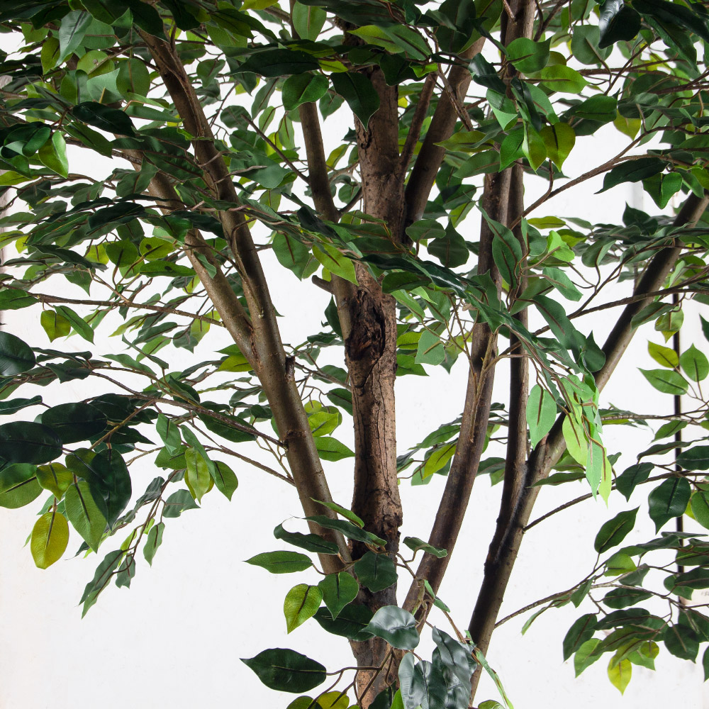 300/РН/34(Пр)(F) Фикус искусственный h300см (латекс)_6