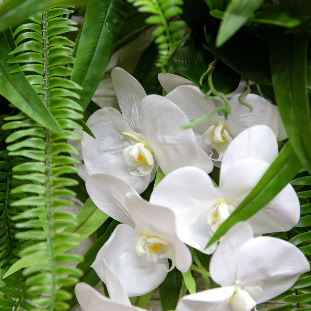 Л35 Лиана Манго с орхидеями L100см_2