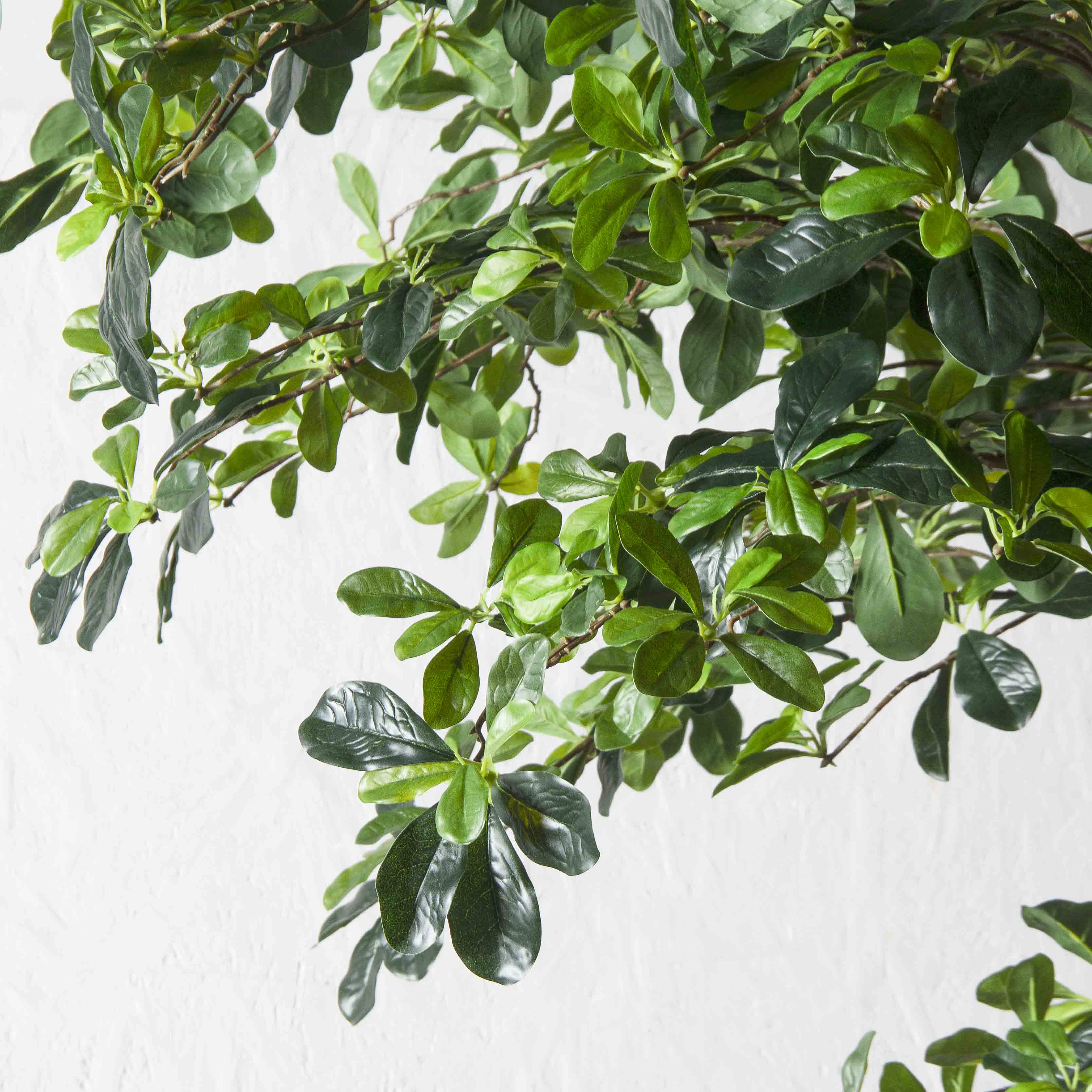 320/РН/84(з)(F) Шеффлера искусственная h320см (латекс)_7