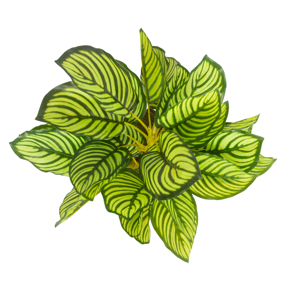 ВМ21/1(з.) Вставка с калатеей h32см, 12*12см (латекс)_6