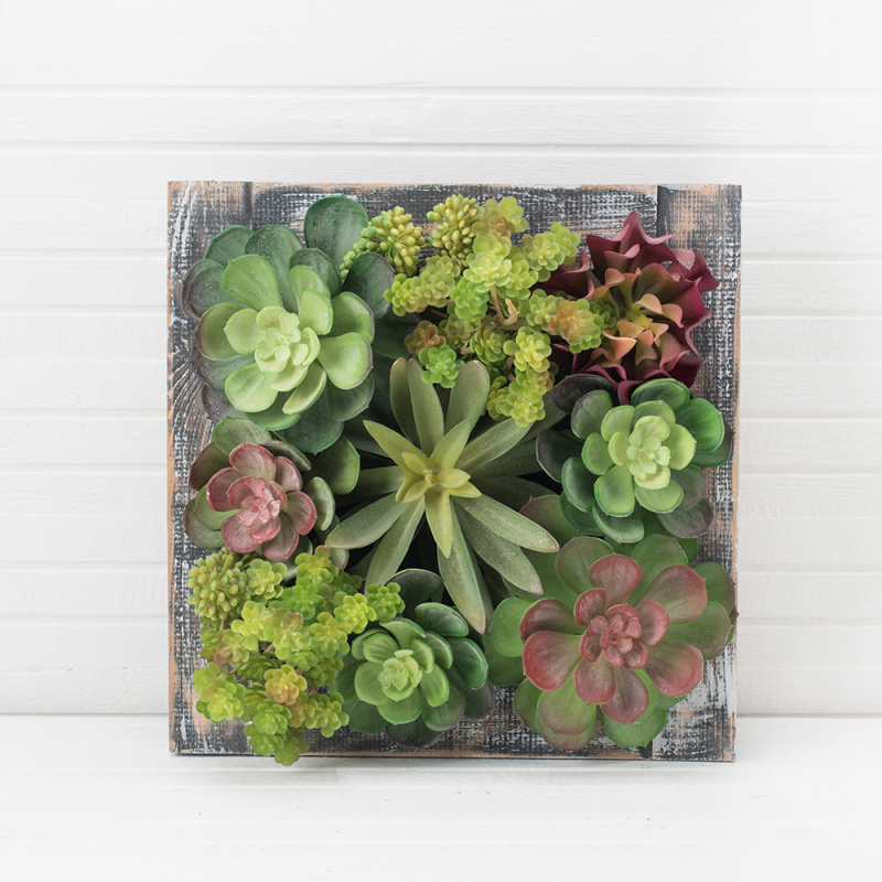 СКФ01-1 Фитокартина с суккул. в дер.раме(зел)30*30