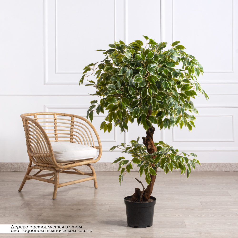 130/Я2/ОС/17М Фикус Бенджамина искусственный h130см (латекс)_1
