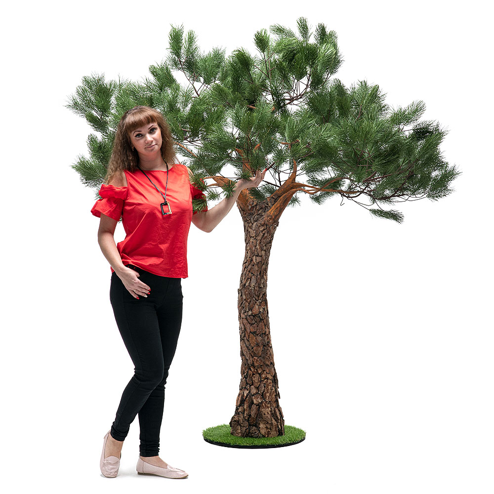 200разб/нат/224(з.) Сосна с натур.корой h-200см_2