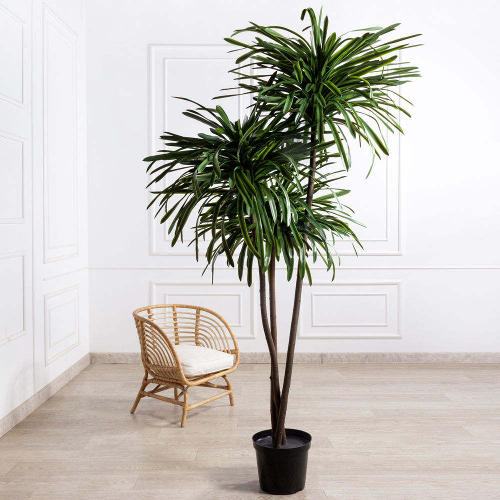 250/3К/608(з)(F) Драцена искусственная h250см, d120см_2