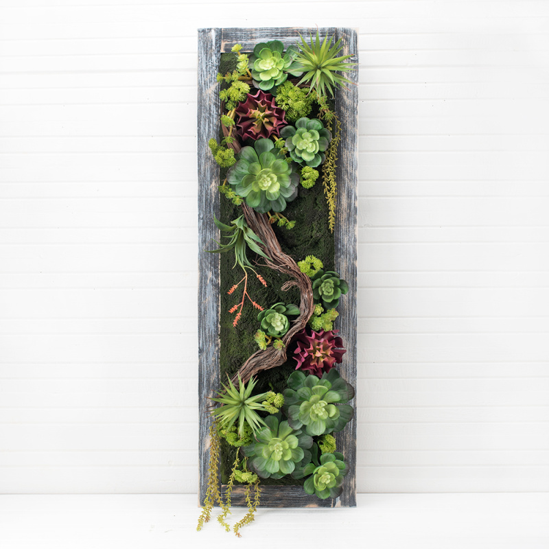 СКФ04-1 Фитокартина с суккул. в дер.раме(зел)30*90