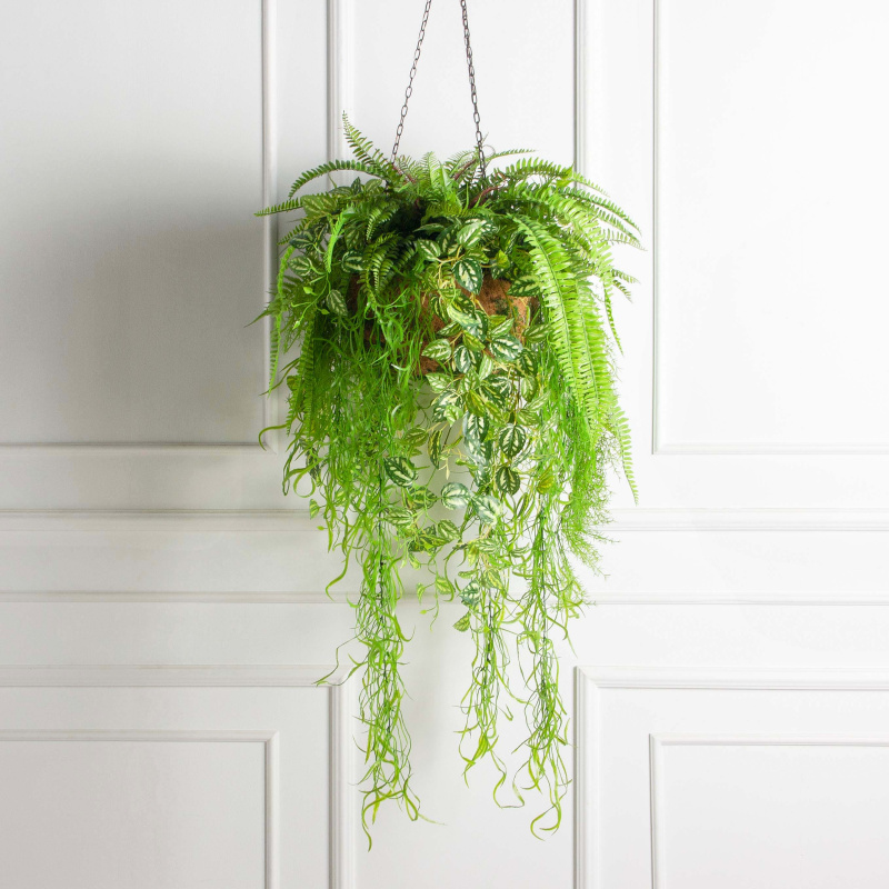 ККВ09 Папоротник искусственный с ампельной пилеей в коковите_1