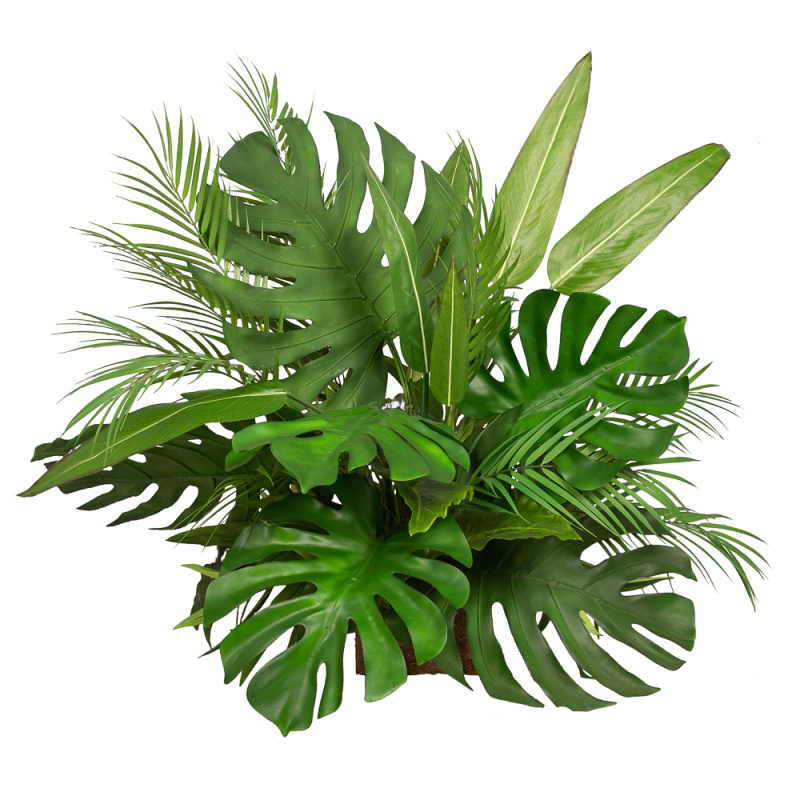 К360 Композиция с монстерой в кокосовом боксе 16*16*h10