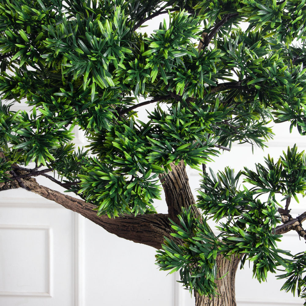 170МЕТ/АСС/241(з)(F) Подокарпус интерьерный h170 d120см_8