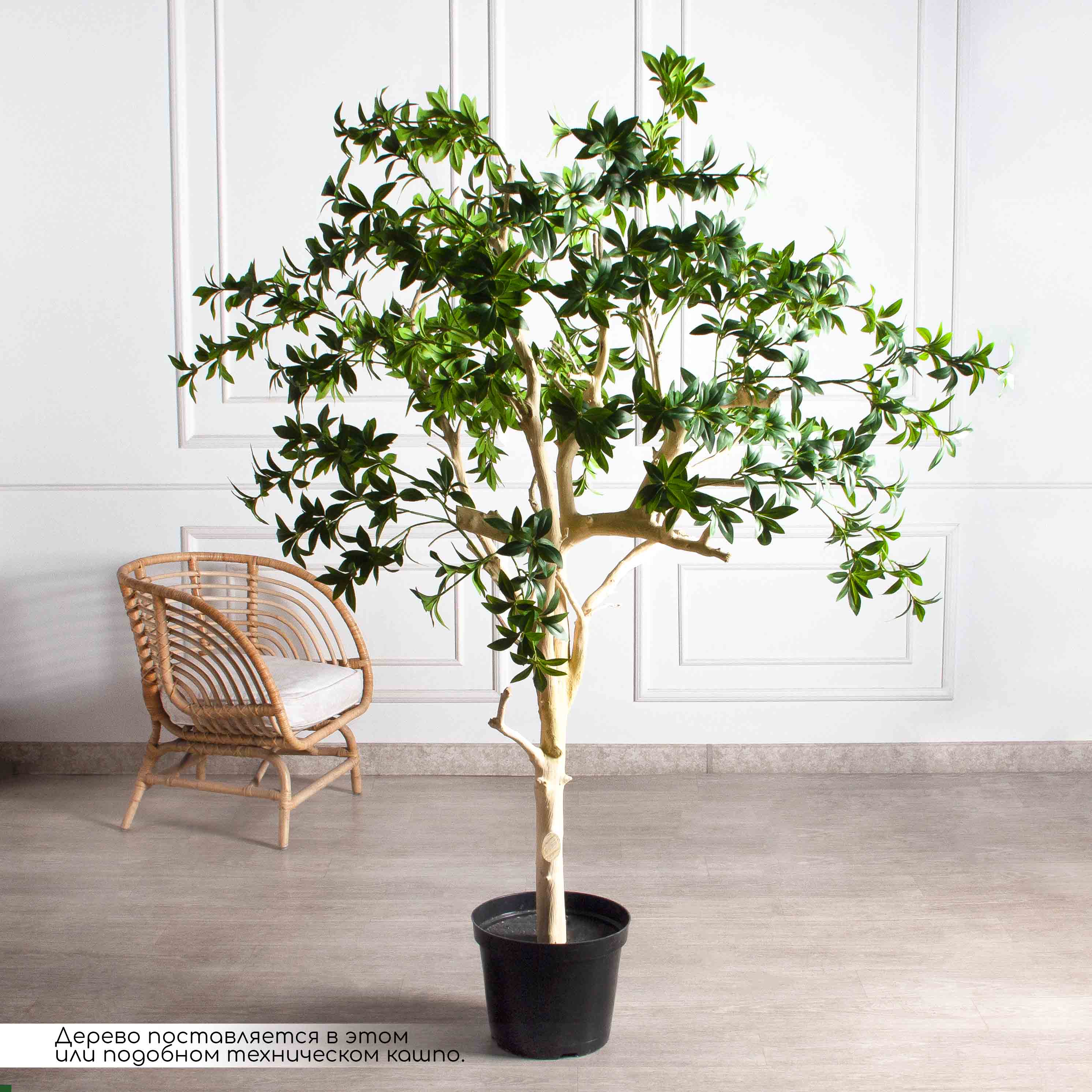 200/ДА/526(з)(F) Бересклет искусственный h200 d160см в кашпо d33 h24,5см, латекс_2