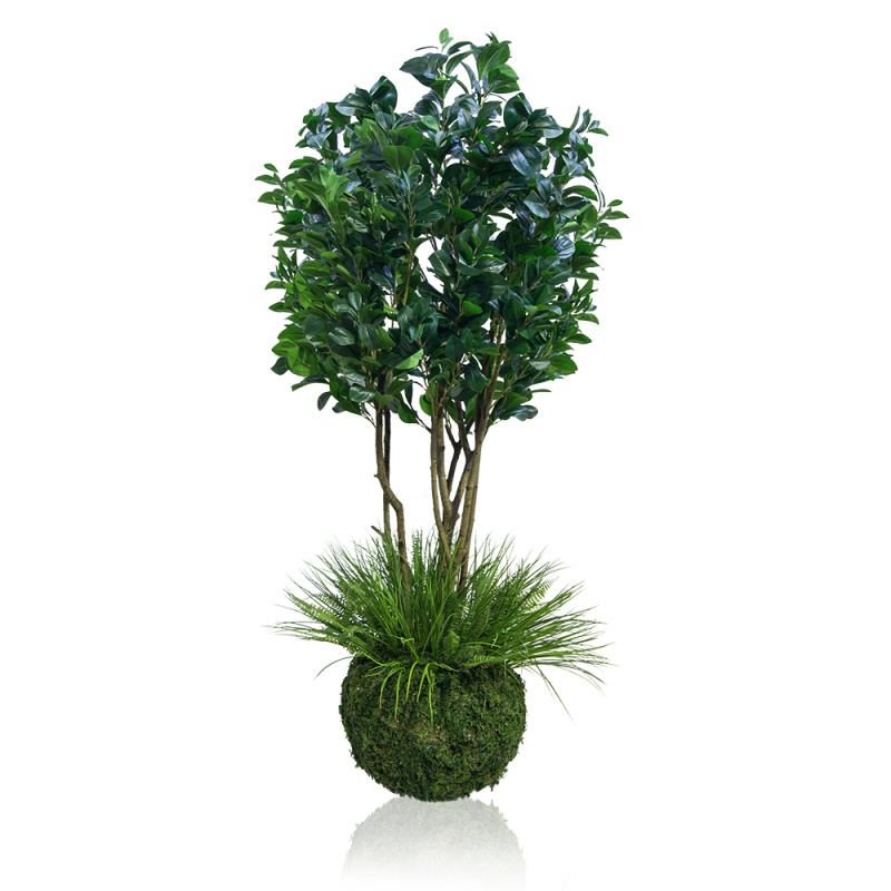 ККДД180/64(з.) Кокедама d40см Рускус h180см_1