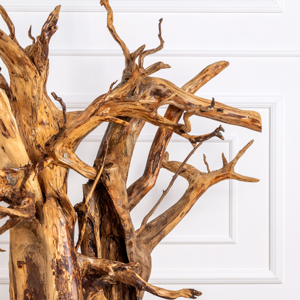 КД01 Корень натуральный декоративный d80см, h80см _2