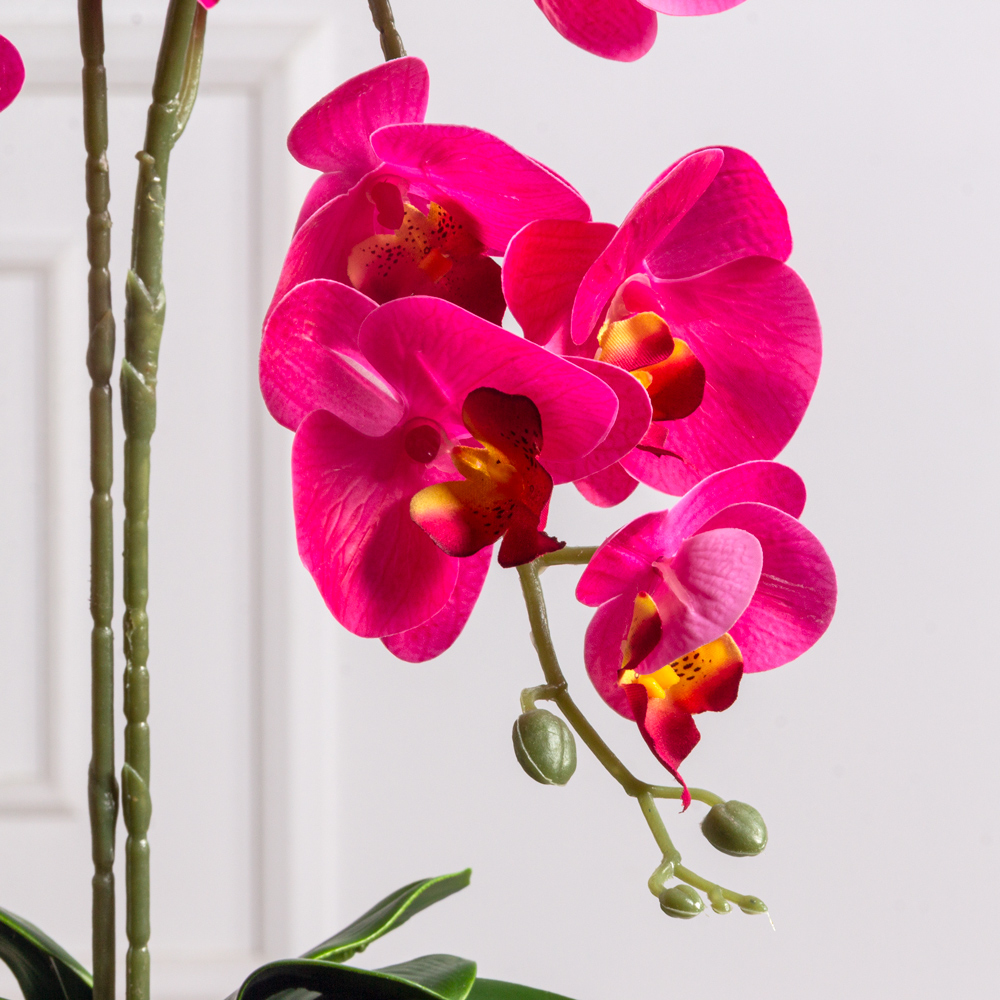 ЦИ60*2/33-1(з.)(F) Орхидея h60см(латекс) в техническом горшке d11см_2