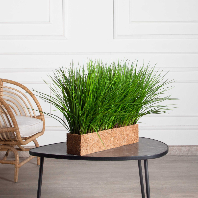 ТД078-1(F) Трава Осока искусственная h36см в кокосовом боксе 50х10х10см_1