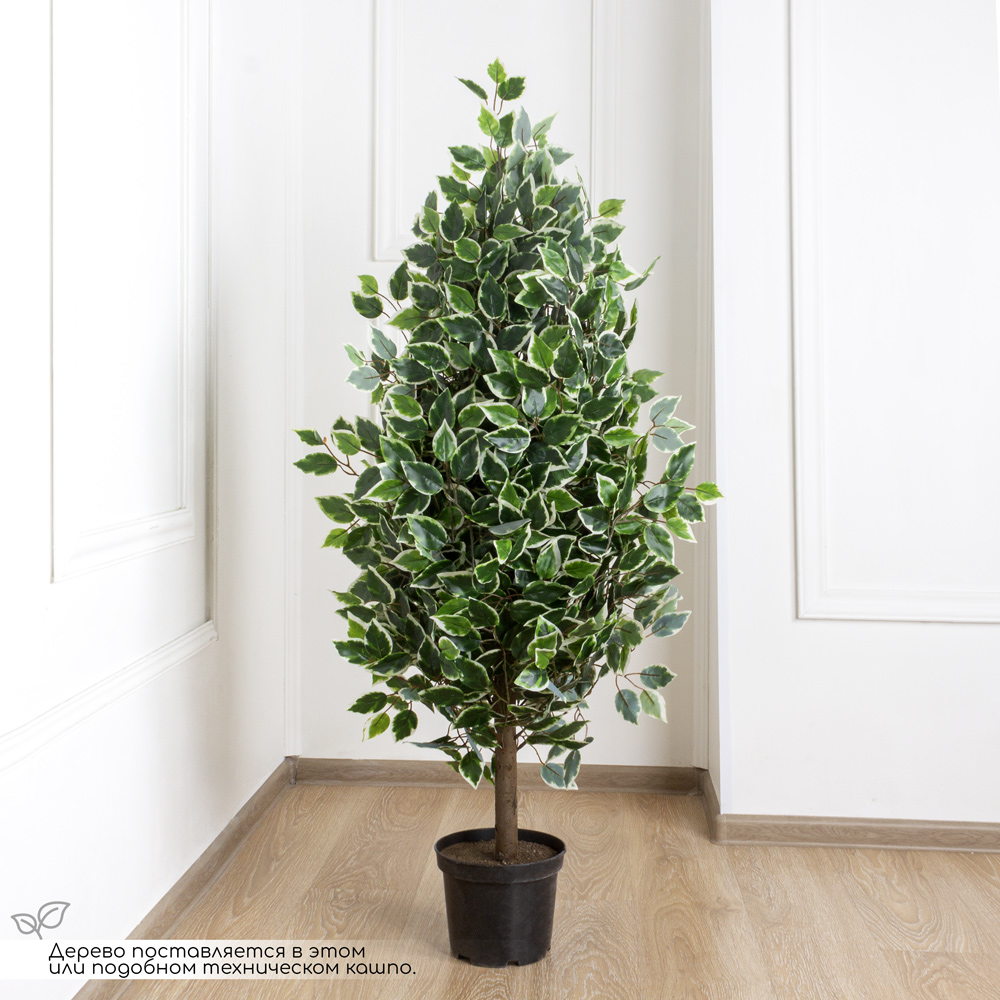 140/Р/17М Фикус Бенджамина искусственный h140см (латекс)_5