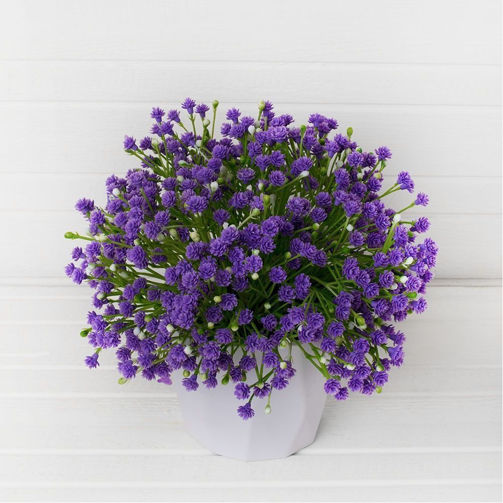 КС51-1 Гипсофила в кашпо h-21см (фиолет) (1)-1001x1001