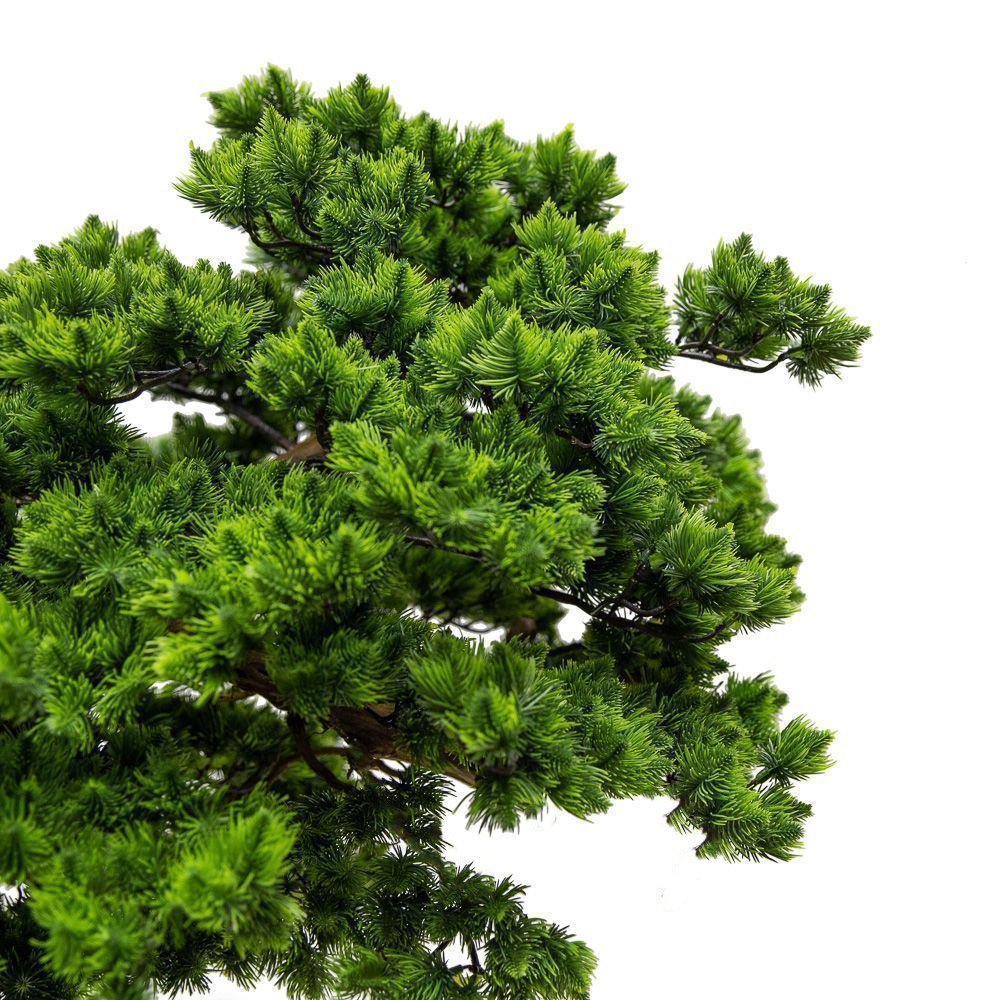 БС185/ОС/30(з) Бонсай Сосна искусственная h185см_6