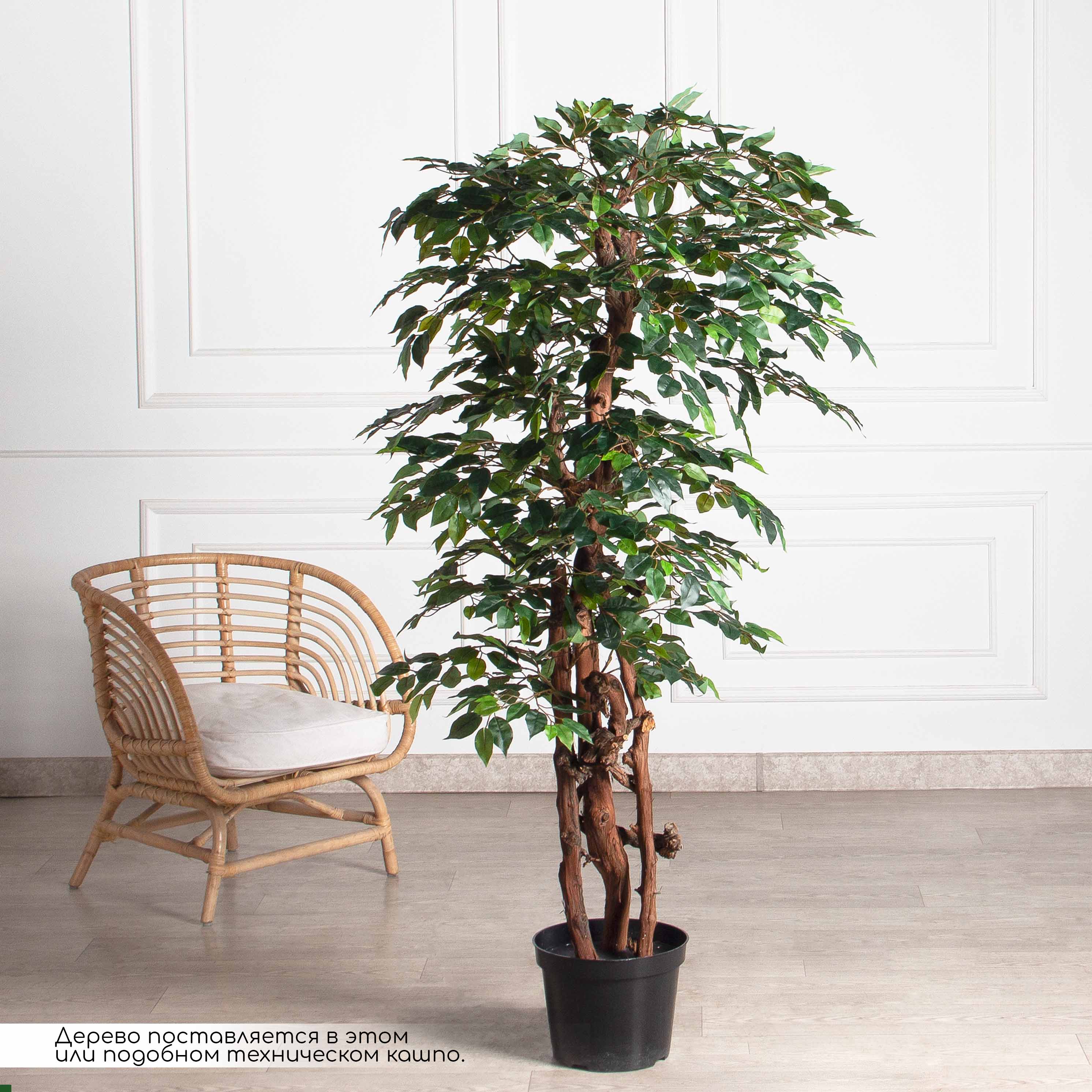 180/ОС/ССТ/34(F) Фикус искусственный h180см (латекс)_2