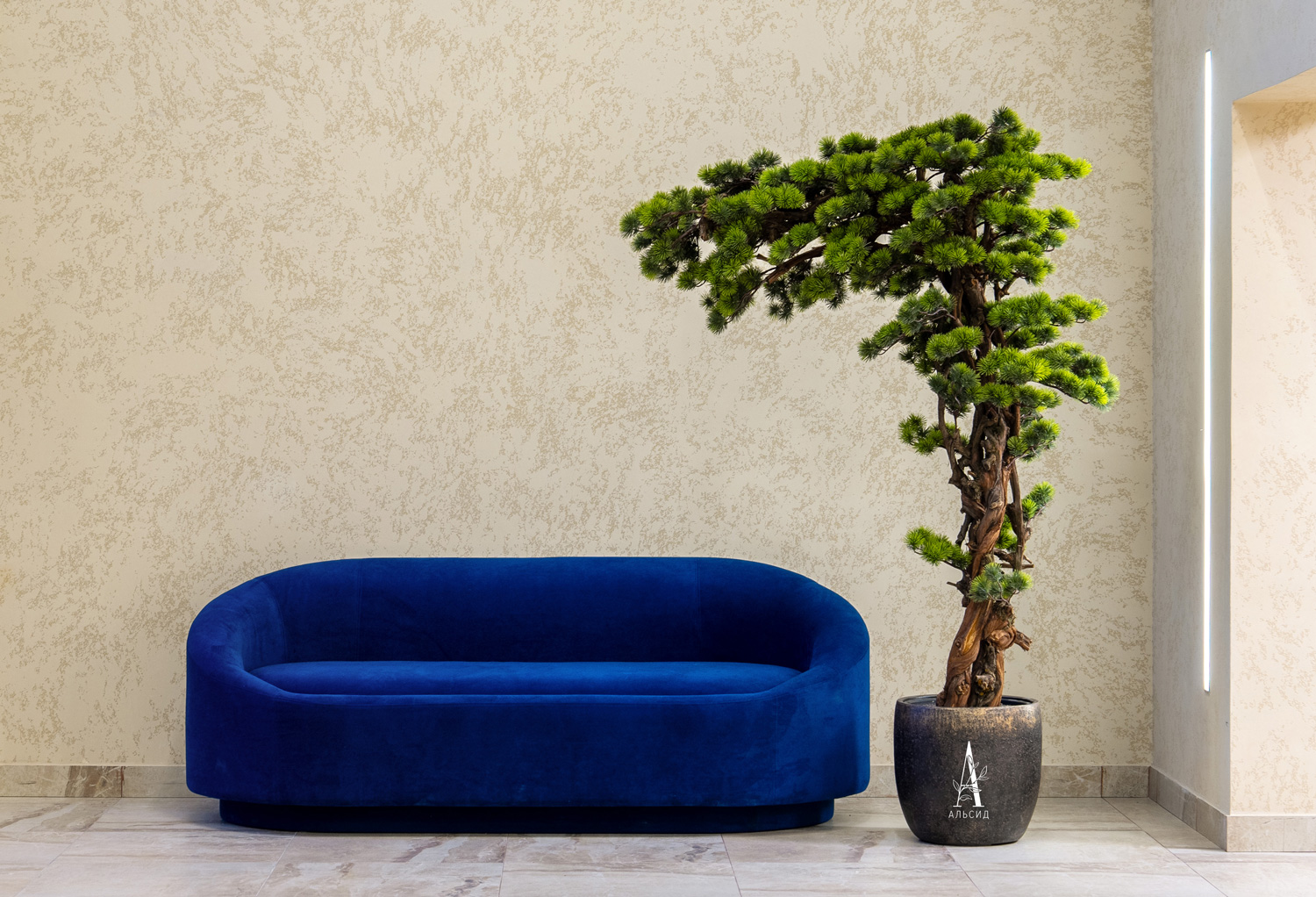 БС195/2К/ОС/3000(з)(F) Бонсай искусственный Сосна h195см_5