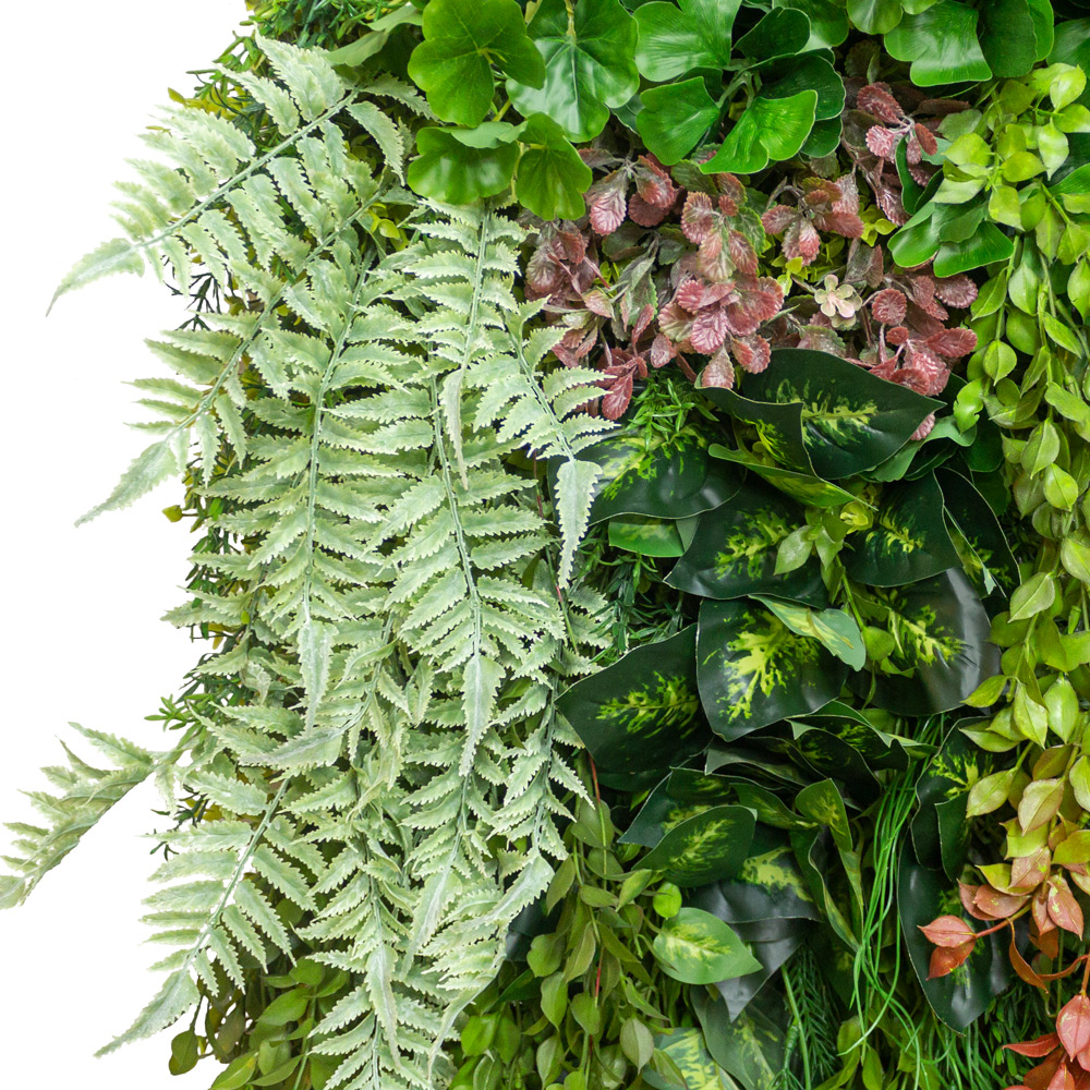 Фитостена 39(з)_3