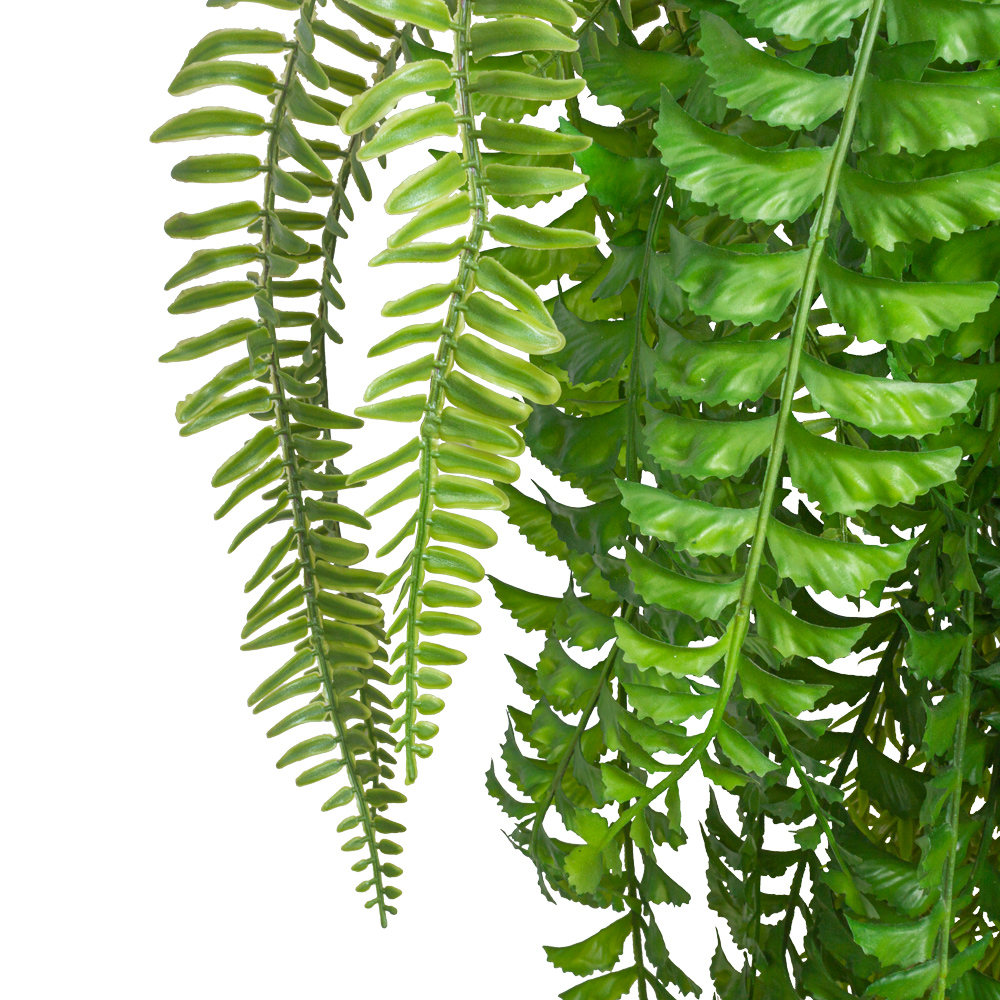 БК 14 Композиция с папоротником Осмунд на блоке 15*h10_24