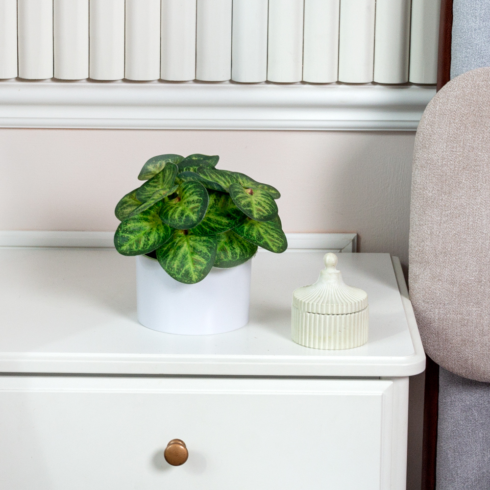 ЦС208-2(F) Пеперомия искусственная, зелёная_2