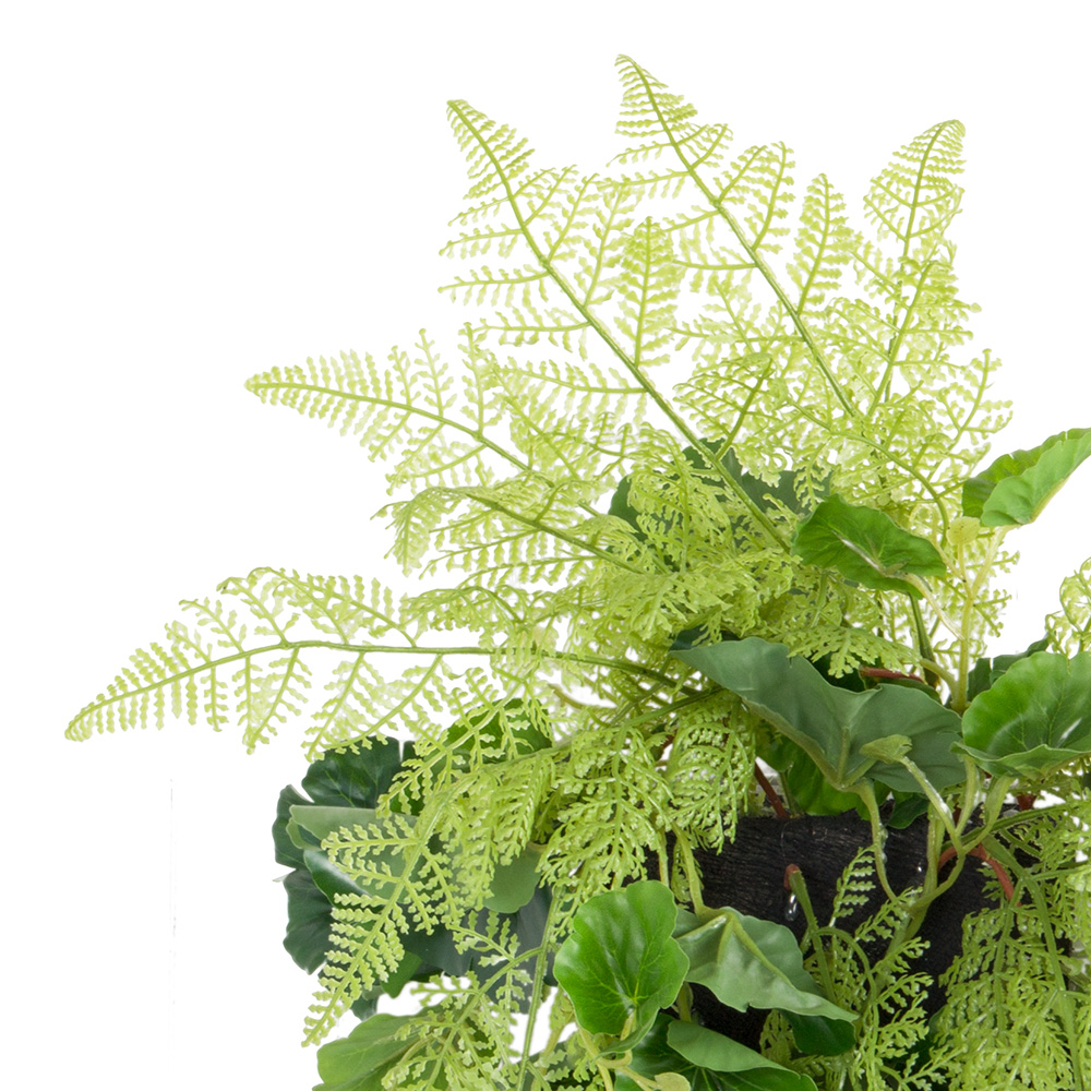 БК 12 Композиция с пеларгонией на блоке 15*h10_3