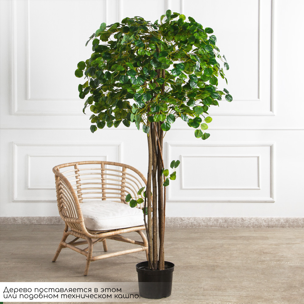 180/РН/709(FixS)(Пр)(F)Фикус Панда искусственный h180см_2