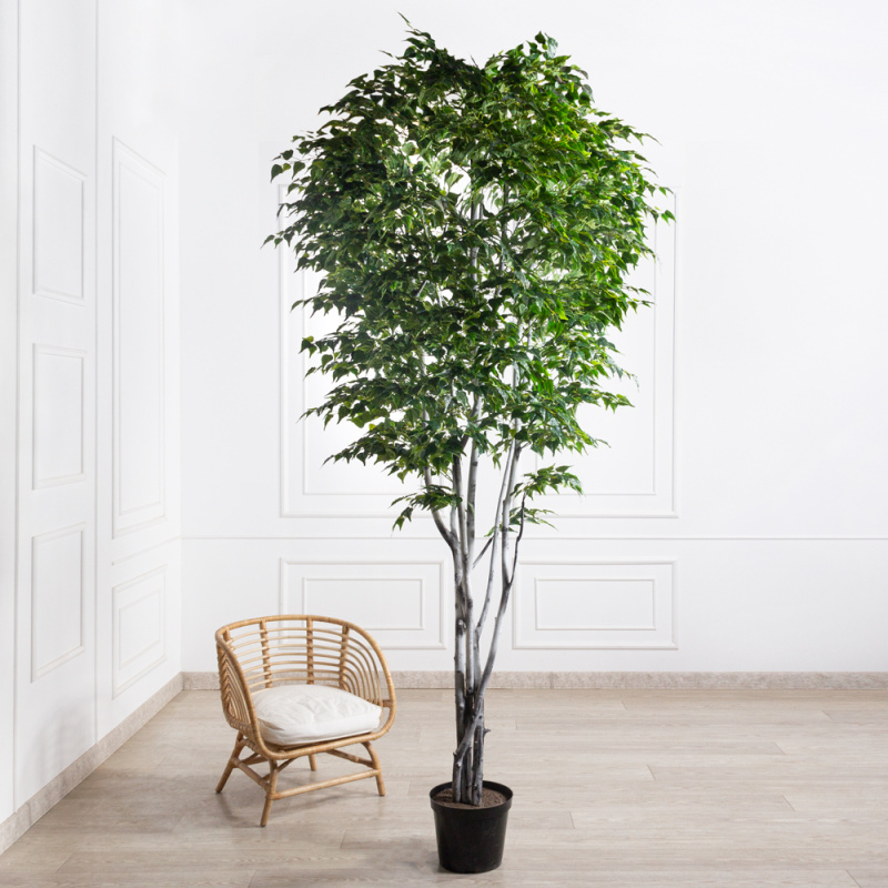 300/РН/122(з)(F) Береза искусственная h300см (латекс)