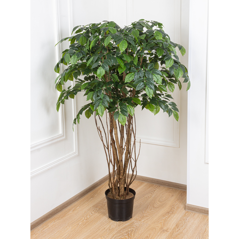 160/К/432 Дерево искусственное Кария, h160см _5