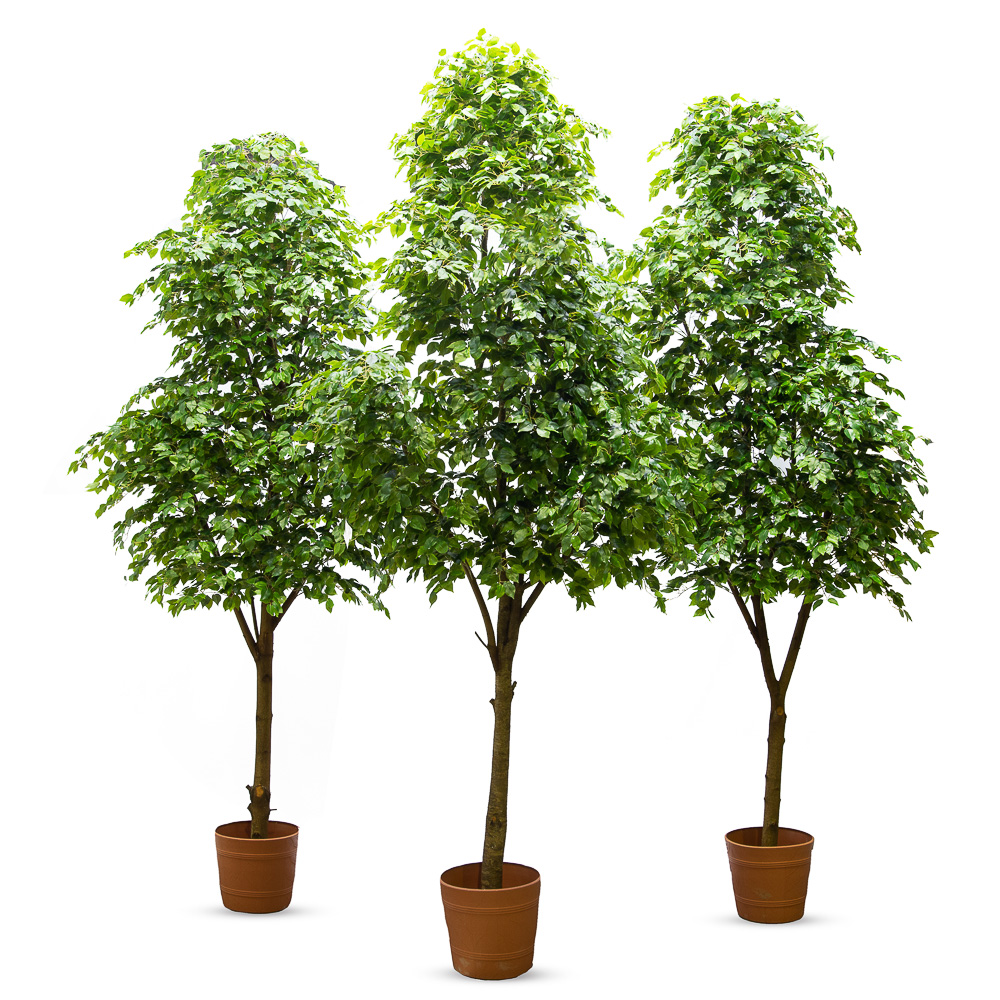 400Разб/РН-П/34(з.)_2