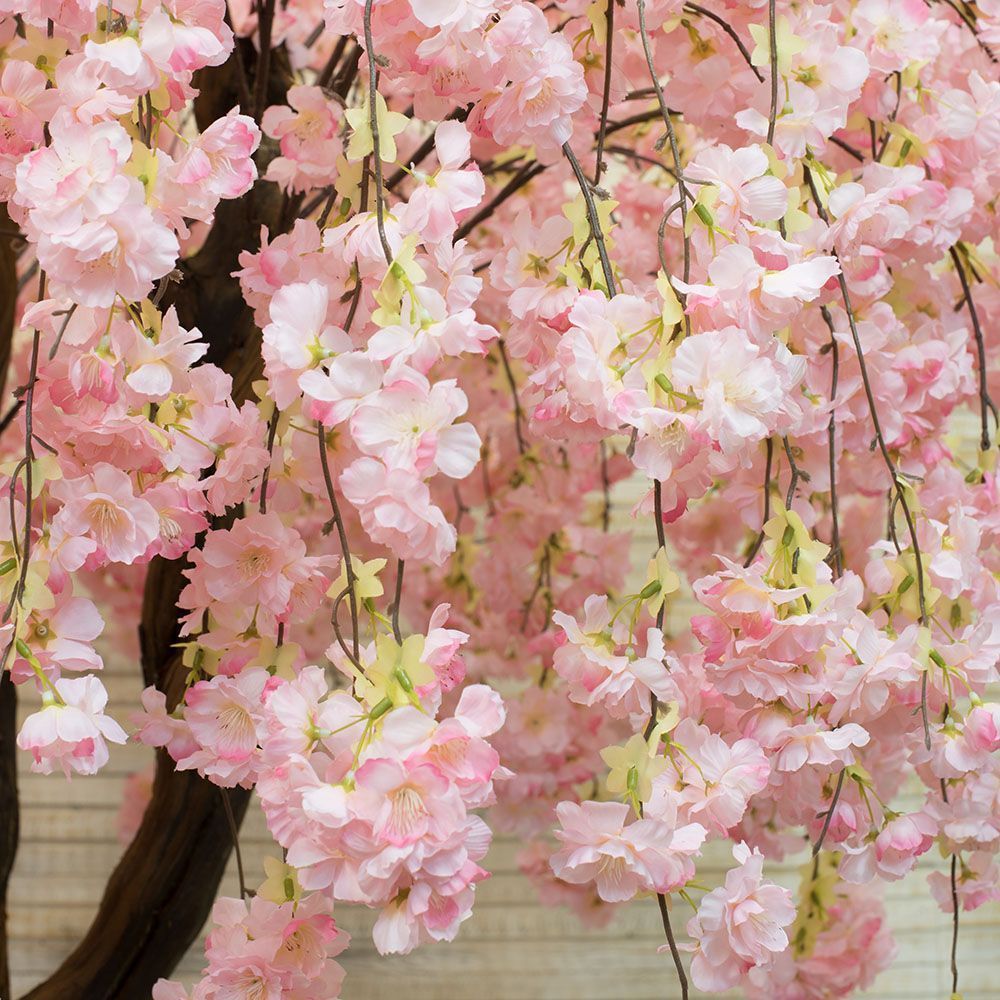 240/2К/ОС/191-1 Сакура королевск. (розов) h-240см_3