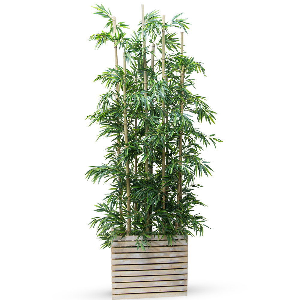 Ш250/75 Ширма бамбук h250 в кокосовом боксе 65*15*h20_3