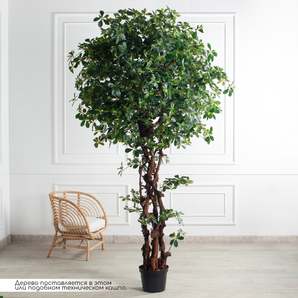 260/ОС/84(з)(F) Шеффлера искусственная h260см d130см (латекс)_2