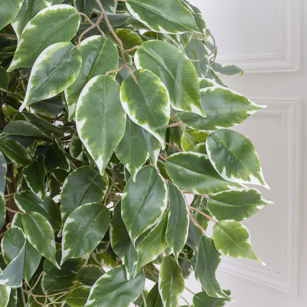 160/17М(з.) Фикус Бенджаминаискусственный h160см в интерьерном кашпо_1