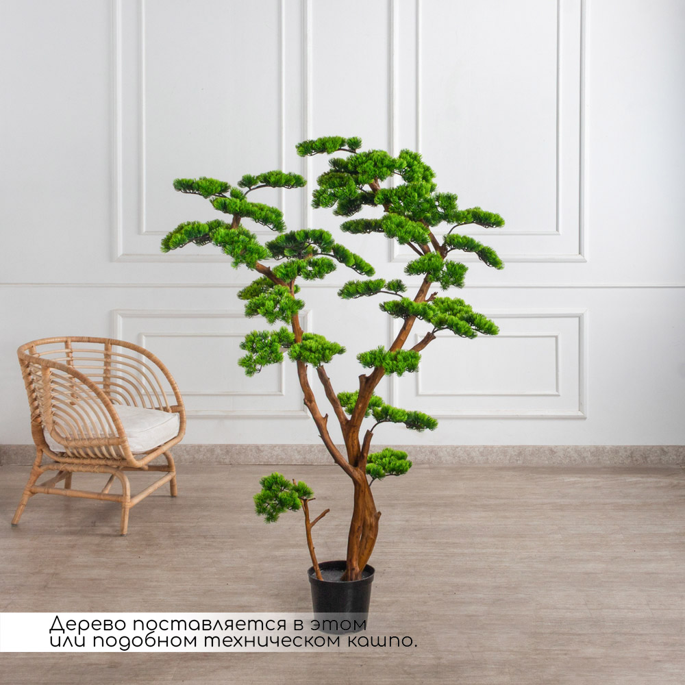 БС160/ДА/520(з)(F) Бонсай искусственный Сосна h160 d100см_2